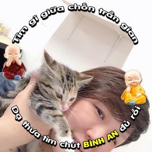 Meet your Posher, Huynh